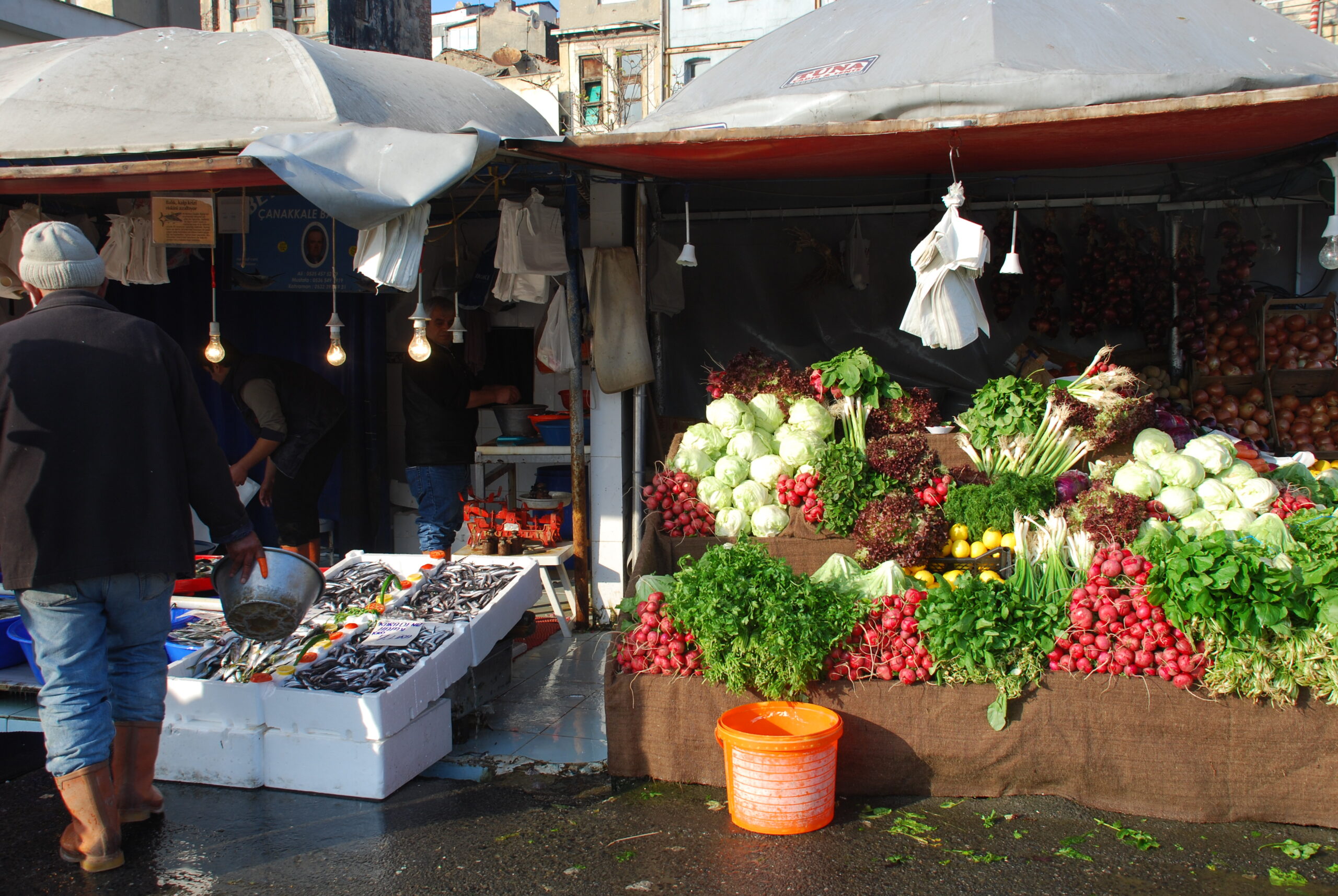 Staunen und Zweifeln erlaubt