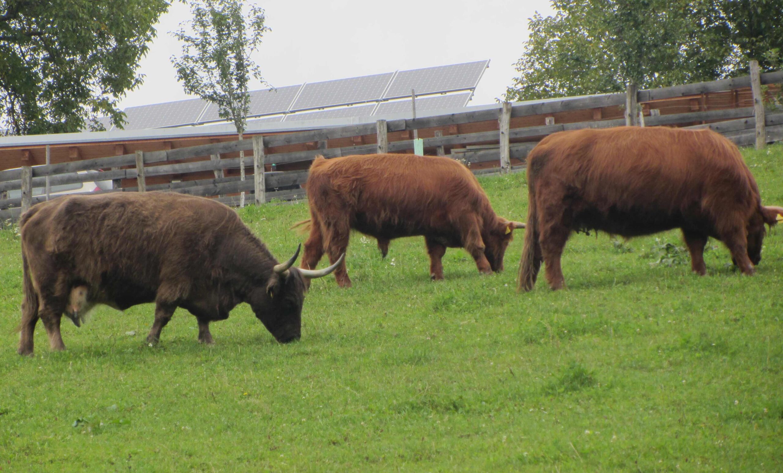 Ablenkung ohne Tiefgang !!