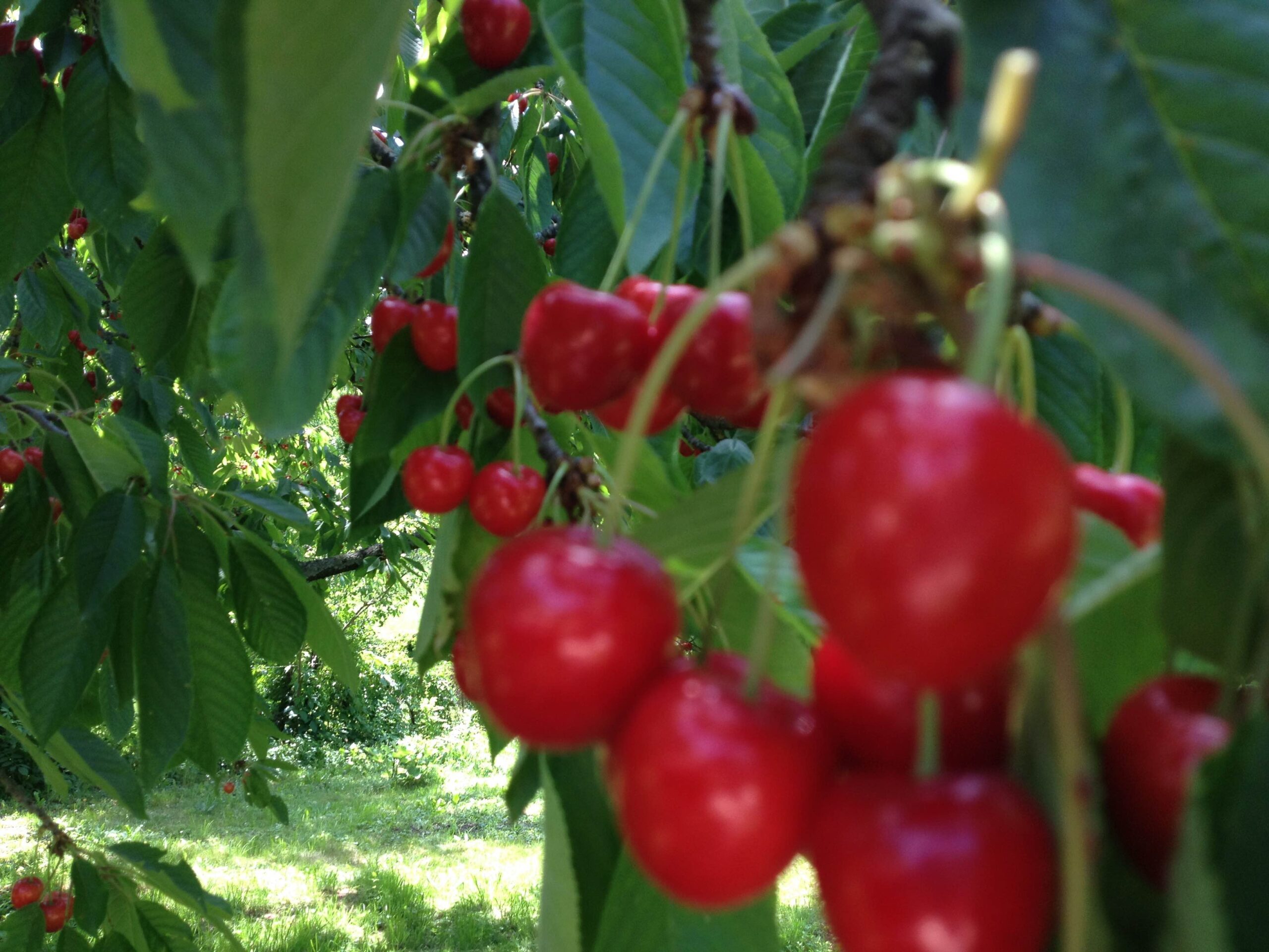 Die nächste Krise kommt bestimmt!